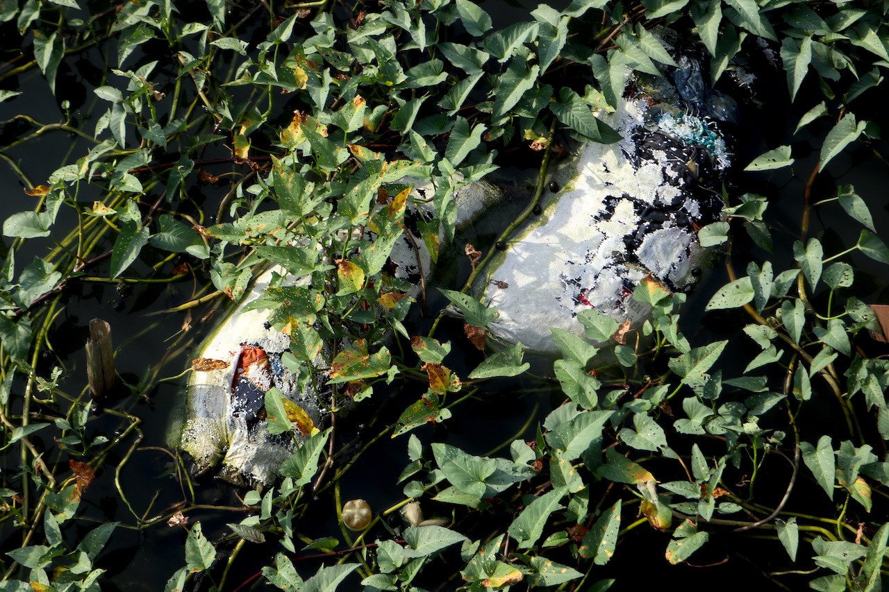 Hiện trên lưu vực sông Nhuệ - sông Đáy có khoảng 2.521 nguồn thải, trong đó, 1.672 nguồn thải từ cơ sở sản xuất, kinh doanh; 126 nguồn thải từ khu công nghiệp, cụm công nghiệp; 137 nguồn thải từ các cơ sở y tế (bệnh viện), 586 làng nghề.