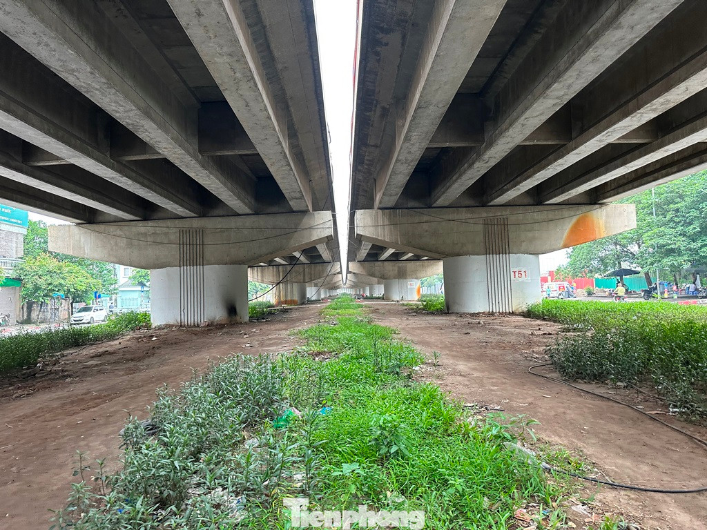 Còn tại hệ thống gầm cầu cạn đường trên cao Vành đai 2, Vành đai 3 đang bỏ không; riêng Vành đai 3 nhiều đoạn được trồng cây nhưng do trồng cây không phù hợp nên luôn héo úa, chết yểu.