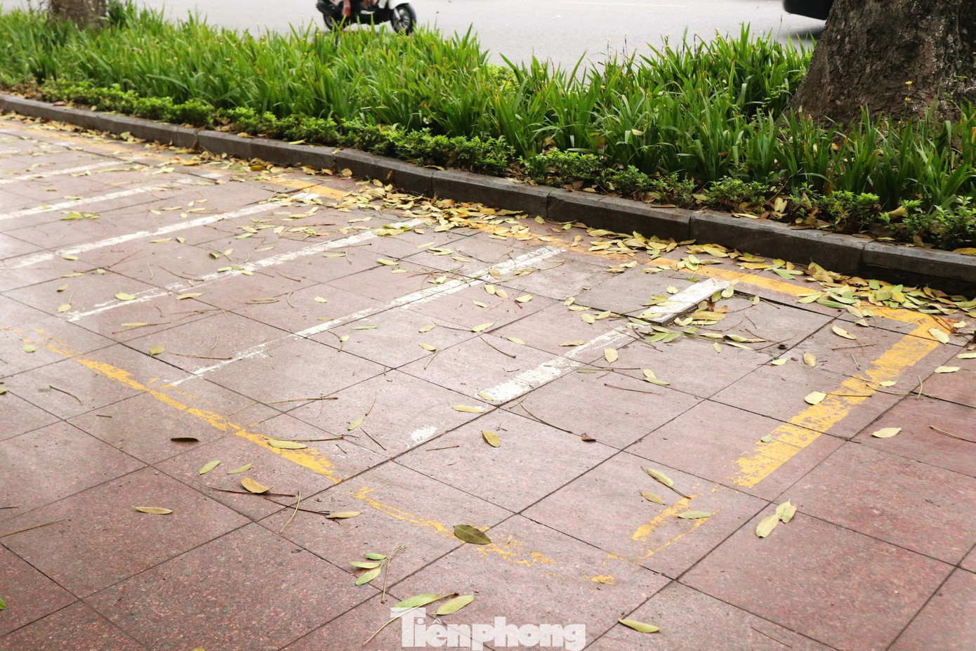 Những vạch kẻ tại trạm xe đã mờ sơn nhưng dự án xe đạp công cộng tại Hà Nội vẫn chưa biết tới bao giờ mới được triển khai.