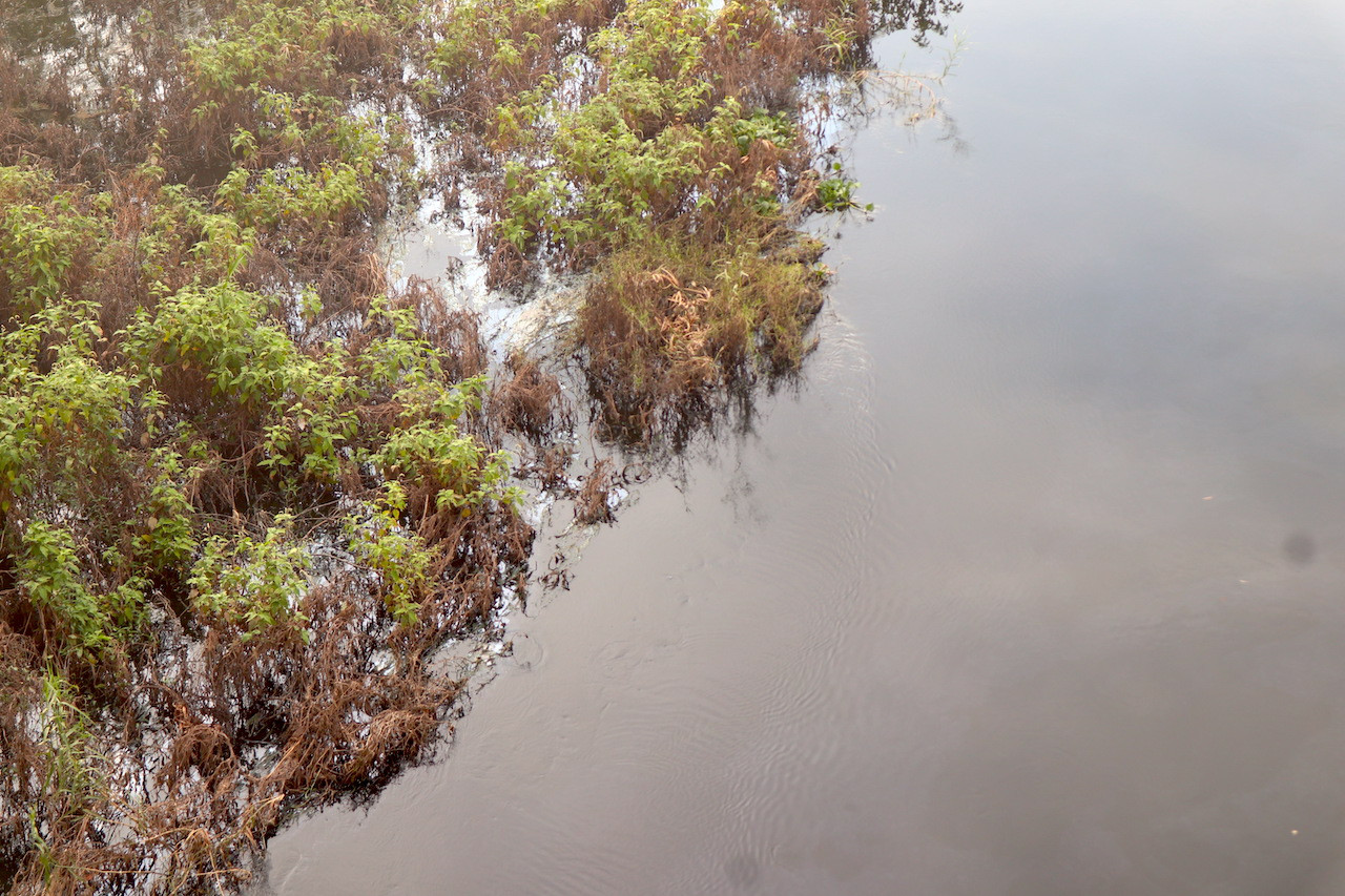 Sông Tích là dòng sông ít bị ô nhiễm nhất tại các sông khu vực phía Tây Hà Nội. Màu nước trở về màu phù sa, tuy nhiên trên mặt nước vẫn còn nhiều rác thải sinh hoạt, váng dầu loang và xác động vật chết.