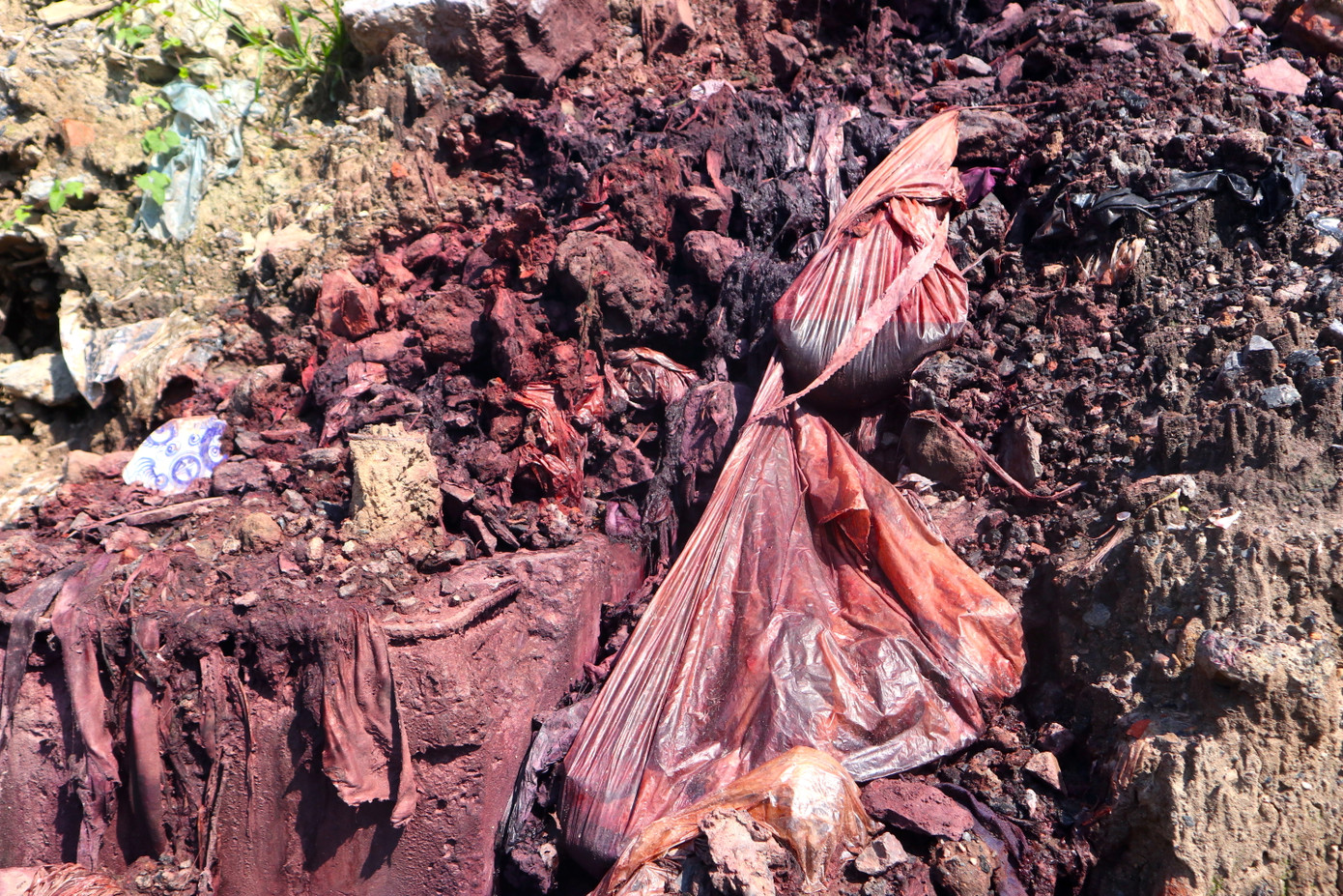 Xuôi theo dòng sông Nhuệ, tình trạng nước ô nhiễm xả thải ra dòng sông vô cùng nghiêm trọng. Nước ô nhiễm ngấm vào bãi đất nhuộm đỏ cả một bờ sông.