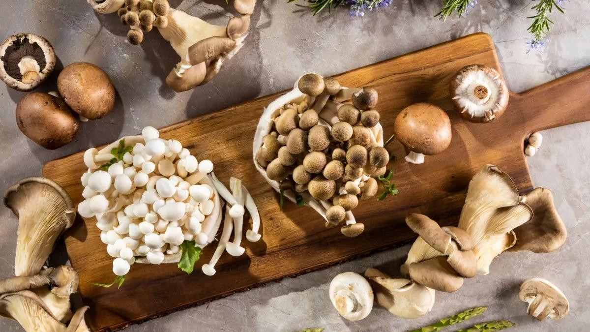 Nấm có thể tạo ra lượng vitamin D lành mạnh cho con người Nấm có thể tạo ra lượng vitamin D lành mạnh cho con người