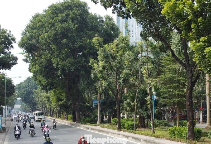 Cho ý kiến về việc xén dải phân cách trên, đại diện Ban Duy tu giao thông cho biết, dải phân cách Hoàng Quốc Việt là dải đất dự phòng với mục đích phục vụ giao thông. Nay phương tiện tăng cao cần phải thu hẹp để giảm ùn tắc. Cho ý kiến về việc xén dải phân cách trên, đại diện Ban Duy tu giao thông cho biết, dải phân cách Hoàng Quốc Việt là dải đất dự phòng với mục đích phục vụ giao thông. Nay phương tiện tăng cao cần phải thu hẹp để giảm ùn tắc.