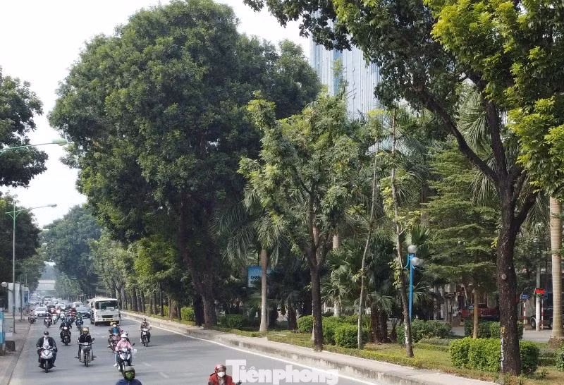 Cho ý kiến về việc xén dải phân cách trên, đại diện Ban Duy tu giao thông cho biết, dải phân cách Hoàng Quốc Việt là dải đất dự phòng với mục đích phục vụ giao thông. Nay phương tiện tăng cao cần phải thu hẹp để giảm ùn tắc.