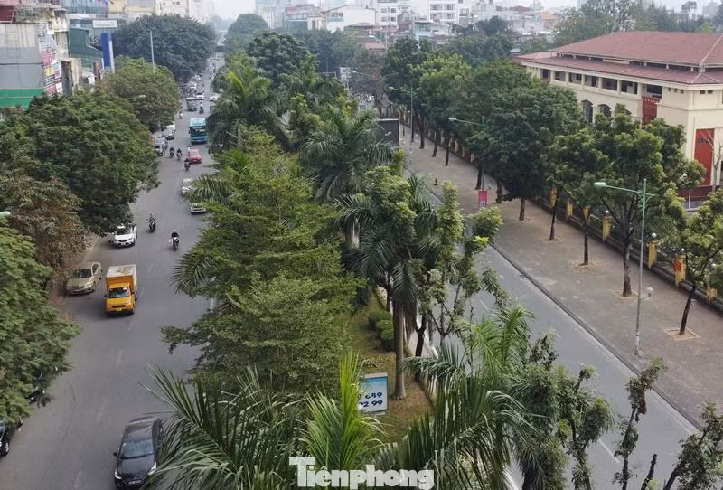 Dải phân cách đường Hoàng Quốc Việt nhìn từ trên cao.