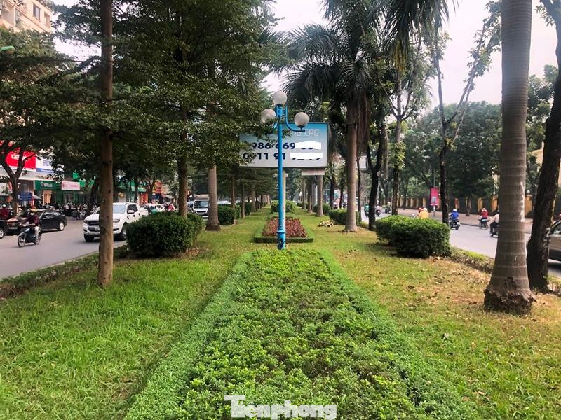 Với mặt bằng là thảm cỏ được cắt tỉa vuông vắn, kèm hệ thống cây xanh nhiều loại, to cao tỏa bóng mát và tạo cảnh quan, việc dải phân cách đường Hoàng Quốc Việt bị xén, thu hẹp đến 70% khiến nhiều người dân nuối tiếc. Với mặt bằng là thảm cỏ được cắt tỉa vuông vắn, kèm hệ thống cây xanh nhiều loại, to cao tỏa bóng mát và tạo cảnh quan, việc dải phân cách đường Hoàng Quốc Việt bị xén, thu hẹp đến 70% khiến nhiều người dân nuối tiếc.