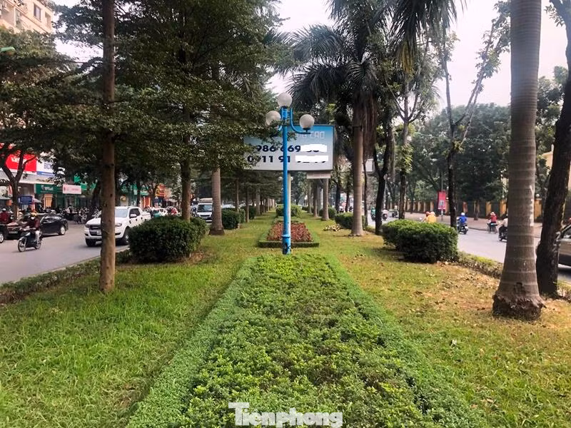 Với mặt bằng là thảm cỏ được cắt tỉa vuông vắn, kèm hệ thống cây xanh nhiều loại, to cao tỏa bóng mát và tạo cảnh quan, việc dải phân cách đường Hoàng Quốc Việt bị xén, thu hẹp đến 70% khiến nhiều người dân nuối tiếc.