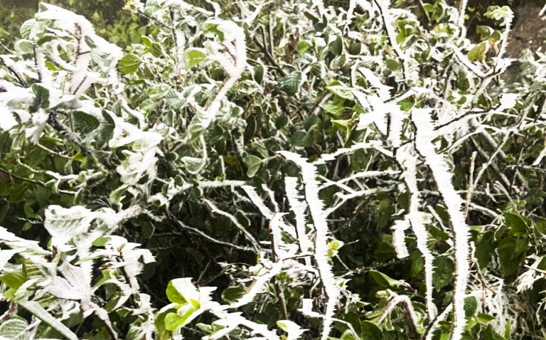 Đợt rét đậm rét hại có thể gây băng tuyết tại các khu vực vùng núi cao ở Yên Bái. Đợt rét đậm rét hại có thể gây băng tuyết tại các khu vực vùng núi cao ở Yên Bái.