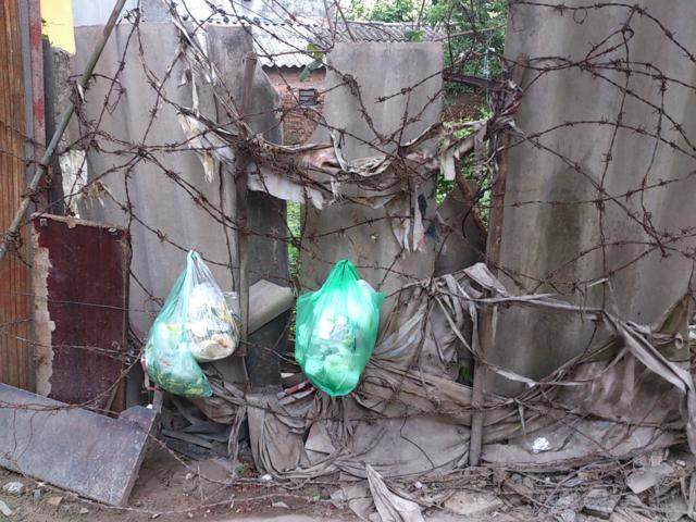 Đất đai bỏ hoang bị biến thành bãi rác. Đất đai bỏ hoang bị biến thành bãi rác