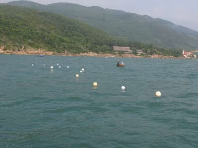 Giàn lưới câu cài mồi nhử cá mập thả xuống trước Khu du lịch Hoàng Gia