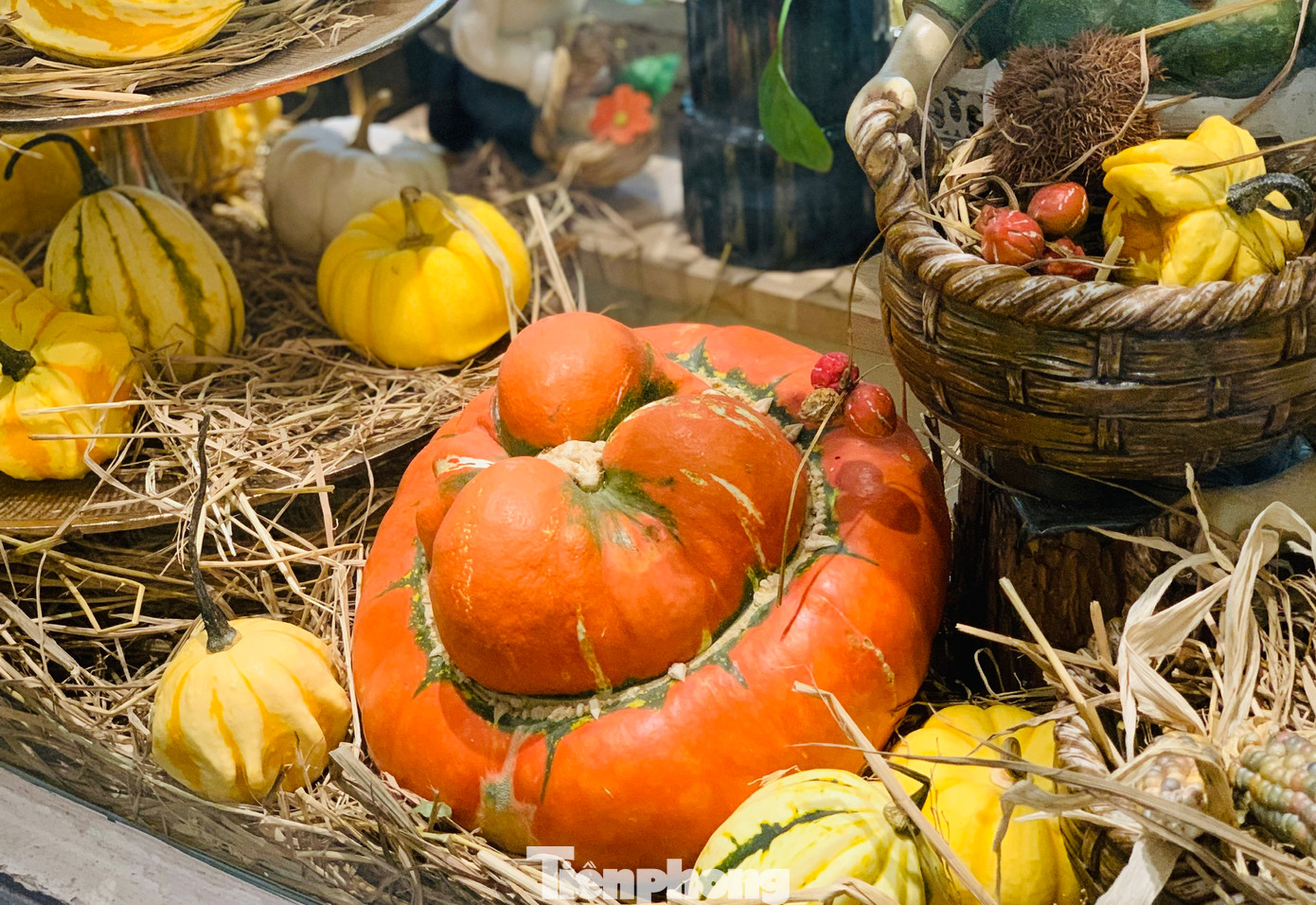 “Loại bí này có thể để được từ 3-6 tháng, lại không phải tưới hay chăm sóc gì nên chị em rất ưa chuộng. Người cầu kỳ thì làm hẳn một tiểu cảnh Halloween giống nước ngoài, còn không thì bày một giỏ hay mẹt bí theo kiểu truyền thống sẽ cảm giác mang sắc thu vào trong ngôi nhà”, chị cho biết thêm.