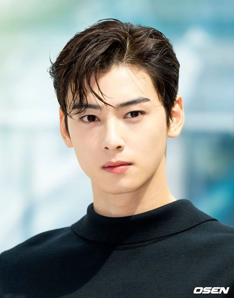 Cha Eunwoo (Astro): Lý do “Thiên tài gương mặt” bị ghét cũng bị cho là không thuyết phục. Anti-fan không chấp nhận việc Cha Eun Woo có ngoại hình xuất sắc, khiến anh trở thành thành viên nổi tiếng nhất Astro.