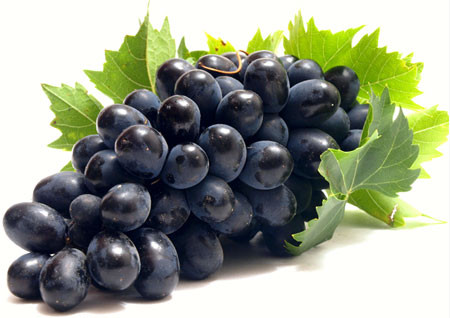 6 loại quả màu đen cực tốt nên ăn nhiều để đẹp da, giữ dáng ảnh 3