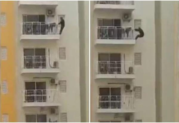 Vừa tập thể dục vừa tận hưởng cảm giác mạnh? Ảnh: India Times. Vừa tập thể dục vừa tận hưởng cảm giác mạnh? Ảnh: India Times.