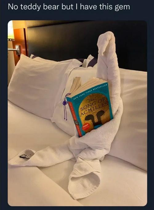 &quot;Tôi không có gấu bông nhưng (trong phòng khách sạn) có cái này&quot;.