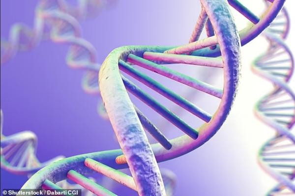 Câu hỏi về nguồn gốc của sự sống khiến các nhà khoa học băn khoăn từ rất lâu. Ảnh: Shutterstock.