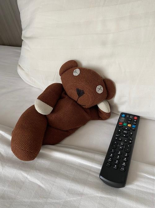 Teddy nhàn nhã nằm xem TV trong khi chủ ra ngoài làm việc.