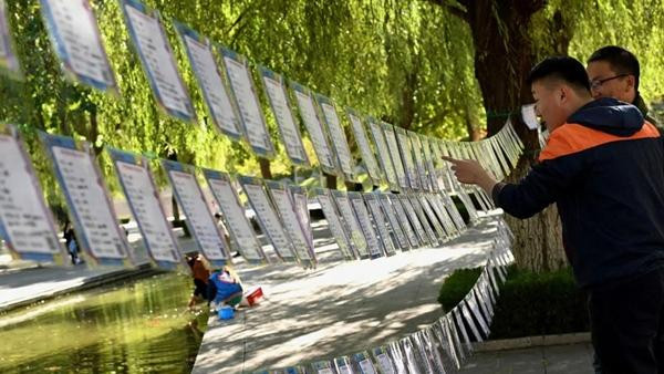 Một góc mai mối ở Trung Quốc với "hồ sơ" của những người muốn tìm vợ tìm chồng. Ảnh: AFP via Getty. Một góc mai mối ở Trung Quốc với "hồ sơ" của những người muốn tìm vợ tìm chồng. Ảnh: AFP via Getty.