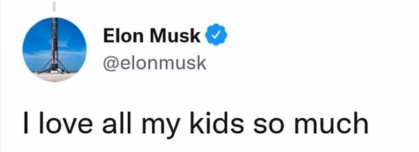 Musk thì khẳng định tình yêu với tất cả các con. (Ảnh chụp màn hình).