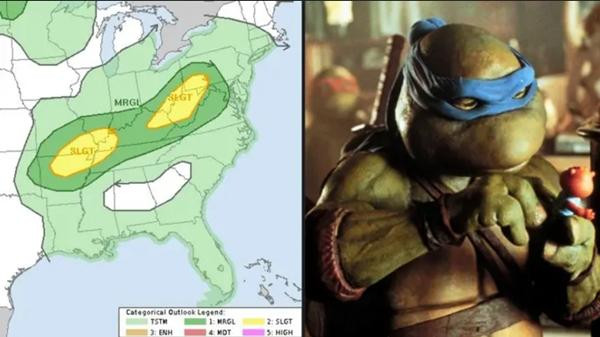 Quả thật là rất giống Ninja Rùa đang cười. Ảnh: Twitter. Quả thật là rất giống Ninja Rùa đang cười. Ảnh: Twitter.