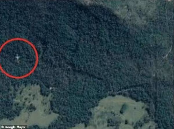 Hình ảnh máy bay lạ. Ảnh: Google Maps.