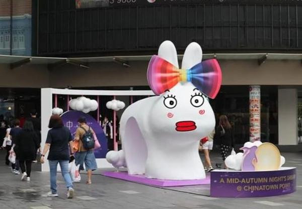 Chú thỏ đang ngạc nhiên? Ảnh: Kue Chan Chong. Chú thỏ đang ngạc nhiên? Ảnh: Kue Chan Chong.