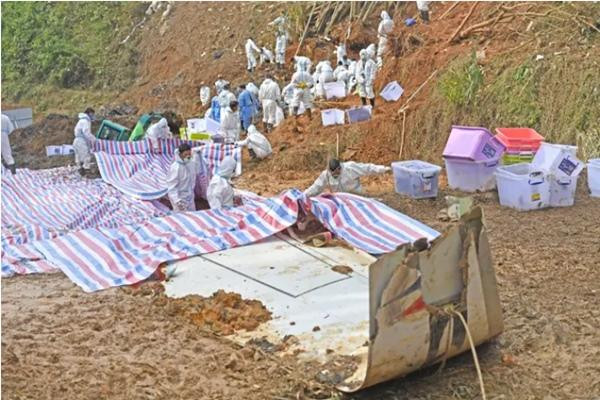 Nhiều mảnh vỡ của chiếc máy bay Boeing 737-800 gặp nạn đã được tìm thấy. Ảnh: Alamy.