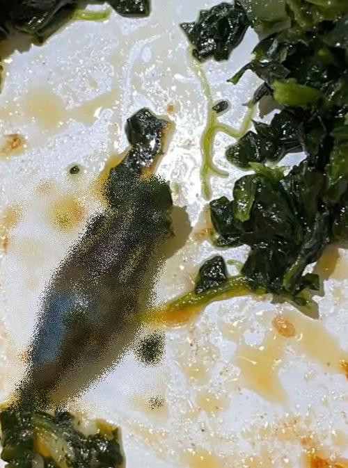 Hãi hùng! Ảnh: NY Post.