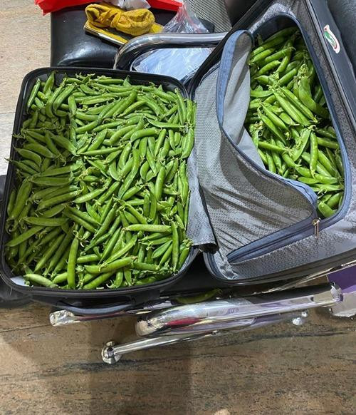 Những "vật thể lạ" trong vali của bác Arun. Ảnh: Twitter.