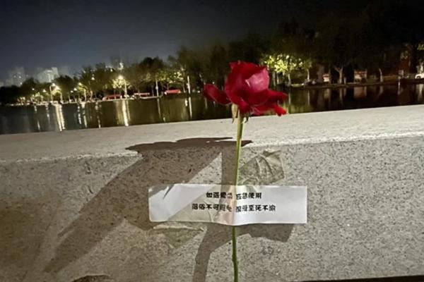 Hoa được đính ở những vị trí ngẫu nhiên trong sân trường. Ảnh: SCMP. Hoa được đính ở những vị trí ngẫu nhiên trong sân trường. Ảnh: SCMP.