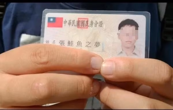 Này thì Giấc Mộng Cá Hồi... Ảnh: Taiwan News.