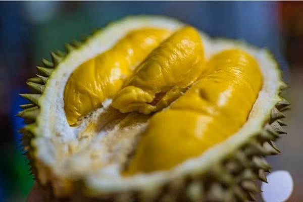 Thái Lan mới giới thiệu loại sầu riêng "không nặng mùi". Ảnh: Shutterstock.