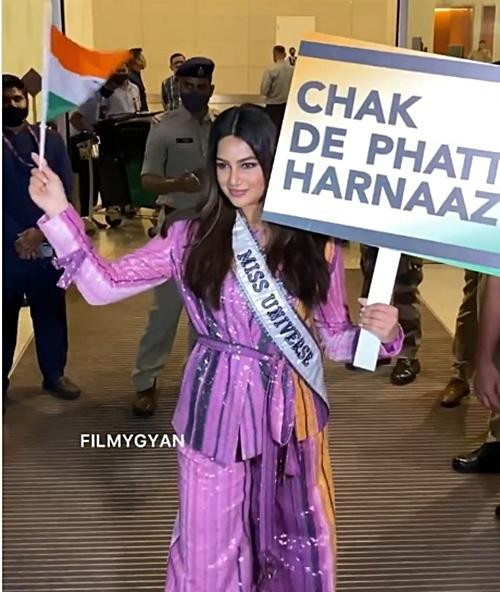 &quot;Tiến lên, Harnaaz!&quot;. Ảnh: Filmygyan.