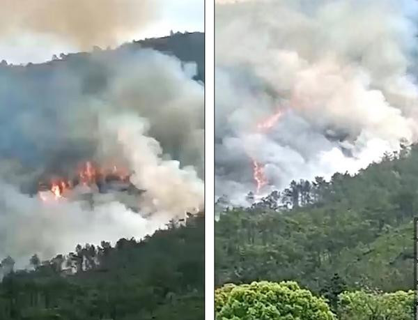 Nơi MU5735 gặp nạn. Ảnh: Twitter.