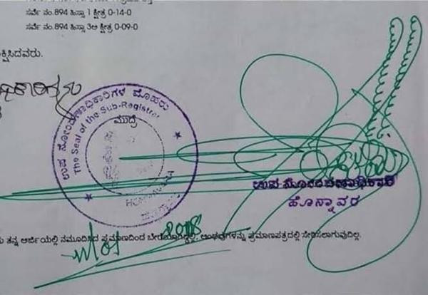 Một chữ ký độc đáo khác, là những sợi lông chim hay những con sóng cuộn đây? Ảnh: Ninesere**.