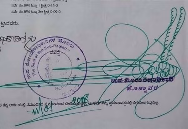 Một chữ ký độc đáo khác, là những sợi lông chim hay những con sóng cuộn đây? Ảnh: Ninesere**.