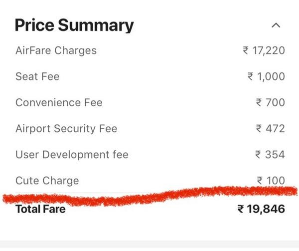 Hành khách bị hãng hàng không bắt trả 30.000 đồng "phí dễ thương". Ảnh: Shantanu.