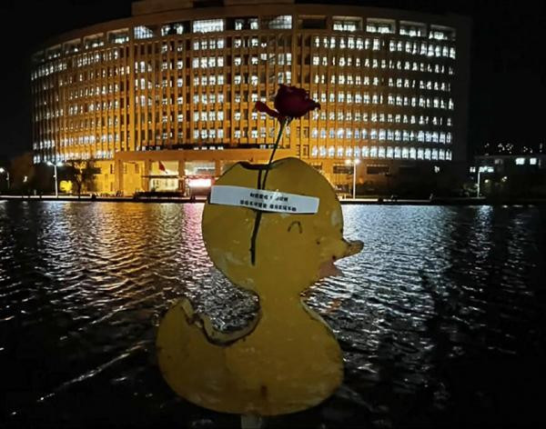 Chú vịt trên hồ nước cũng được đính một bông hoa hồng. Ảnh: SCMP. Chú vịt trên hồ nước cũng được đính một bông hoa hồng. Ảnh: SCMP.