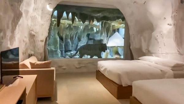 "Phòng hổ" trong một khách sạn ở Trung Quốc. Ảnh: Viral Press. "Phòng hổ" trong một khách sạn ở Trung Quốc. Ảnh: Viral Press.