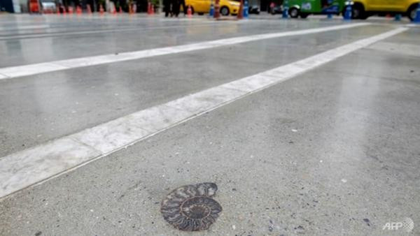 Những hình giống như vỏ ốc được gắn xuống vỉa hè để trang trí. Ảnh: Alex Ogle/ AFP.