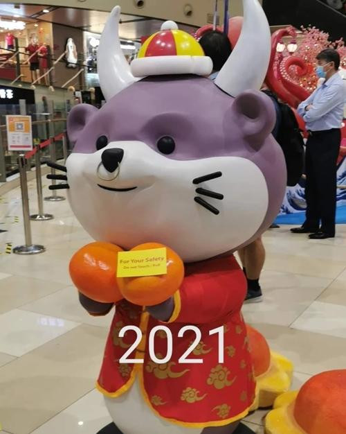 Chú trâu của năm 2021. Ảnh: Instagram. Chú trâu của năm 2021. Ảnh: Instagram.