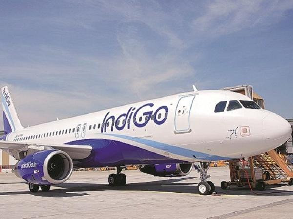 Một máy bay của IndiGo. Ảnh: India Times. Một máy bay của IndiGo. Ảnh: India Times.