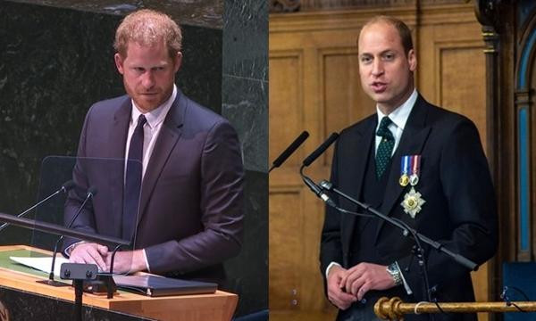Bài phát biểu mới của Harry bị cho là có nhiều điểm giống bài của William năm 2021. Ảnh: Getty.