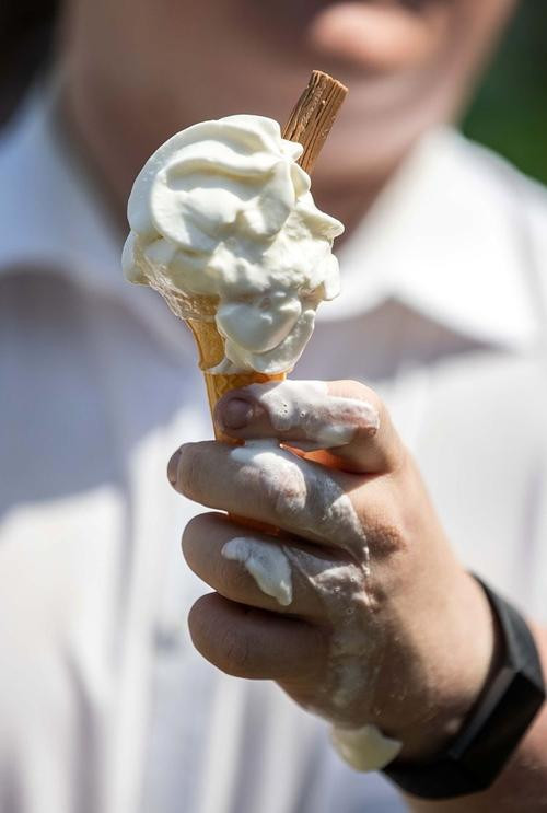 Nóng đến mức kem vừa mua là chảy luôn. Ảnh: Chris Fairweather/ Huw Evans Agency. Nóng đến mức kem vừa mua là chảy luôn. Ảnh: Chris Fairweather/ Huw Evans Agency.