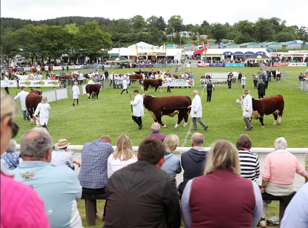 Hội chợ nông nghiệp lớn nhất ở Vương quốc Anh đang diễn ra đúng vào đợt nóng kỷ lục. Ảnh: Getty. Hội chợ nông nghiệp lớn nhất ở Vương quốc Anh đang diễn ra đúng vào đợt nóng kỷ lục. Ảnh: Getty.