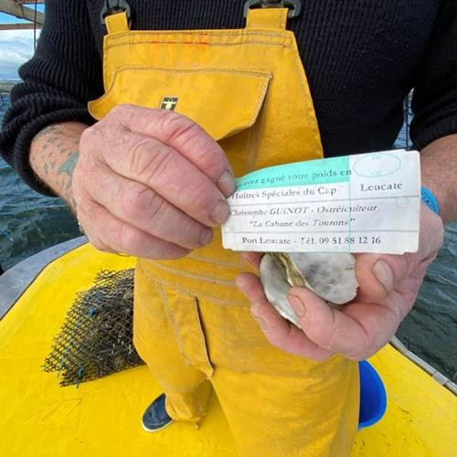 Bác Guinot để một tờ giấy vào trong một vỏ hàu rồi dán kín lại. Ảnh: News 18.