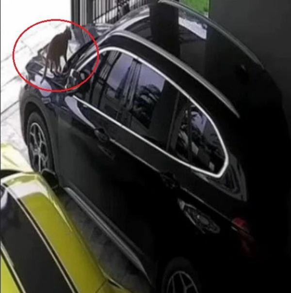 Ngồi xe này chán thì lại sang ngồi thử xe khác. Ảnh: The Thaiger. Ngồi xe này chán thì lại sang ngồi thử xe khác. Ảnh: The Thaiger.