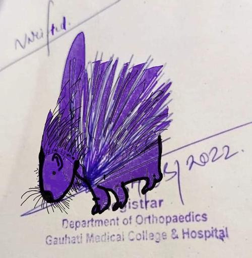 Một cư dân mạng đã biến chữ ký thành con nhím. Ảnh: Swapn**.