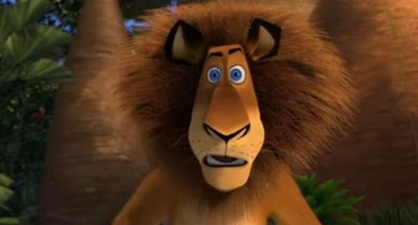 Có người so sánh vẻ mặt chú hổ với vẻ mặt ngạc nhiên của chú sư tử hoạt hình Alex trong phim Madagascar. Ảnh: Twitter. Có người so sánh vẻ mặt chú hổ với vẻ mặt ngạc nhiên của chú sư tử hoạt hình Alex trong phim Madagascar. Ảnh: Twitter.