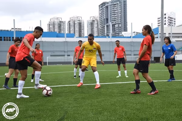 SVĐ Jalan Besar với mặt sân cỏ nhân tạo. Ảnh: FAS.